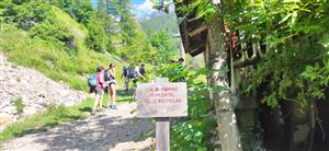 TRAVERSATA DA LONGIARÚ A MALGA ZANNES